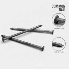 New Design Zinc Coated Iron Nails From China